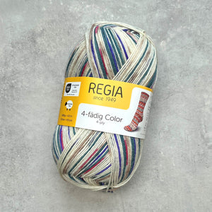 Regia 4ply Color | Modrobiela