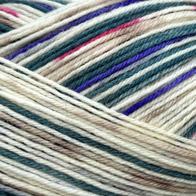 Regia 4ply Color | Modrobiela