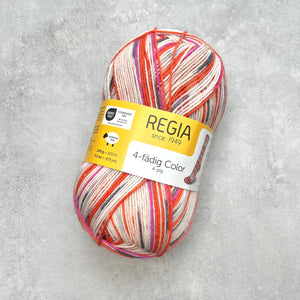 Regia 4ply Color | Oranžová